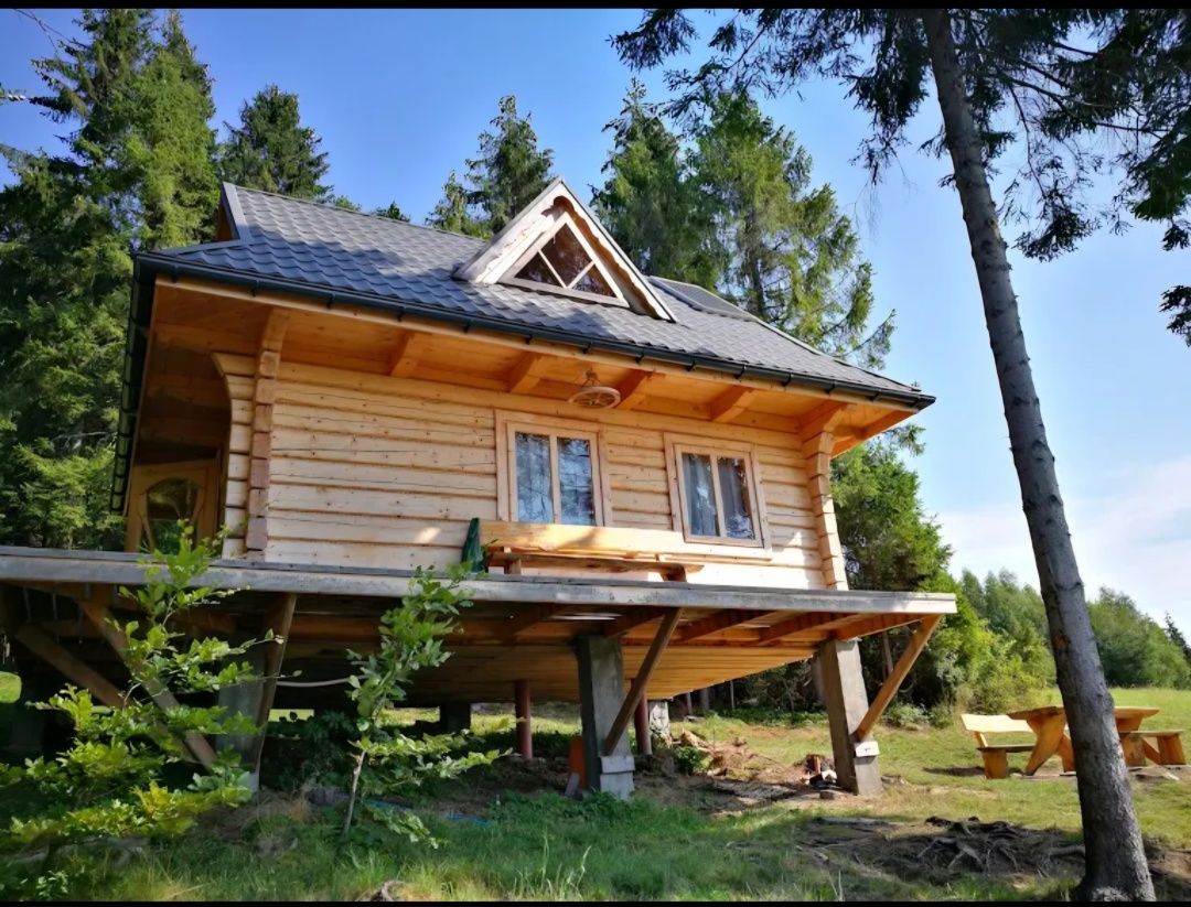Samotnia/Domek w Górach/Bacówka/Domek w górach/Widok na Tatry