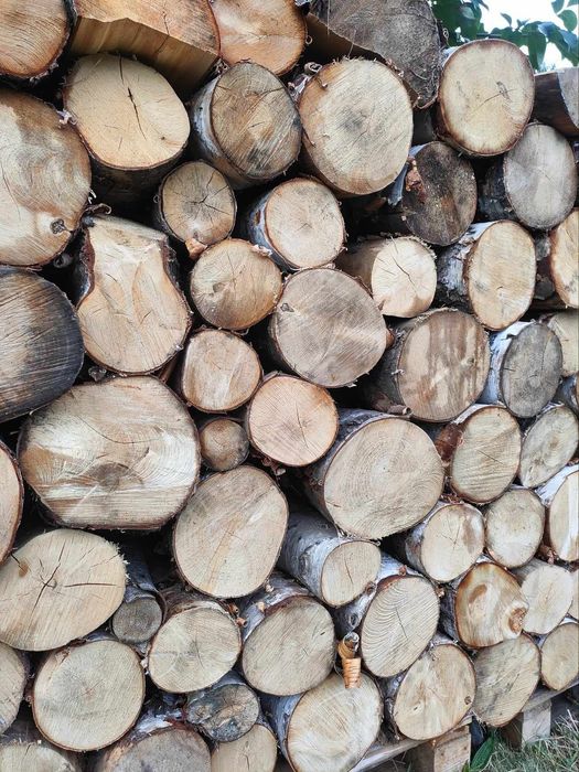 DREWNO kominkowe, opałowe - BRZOZA