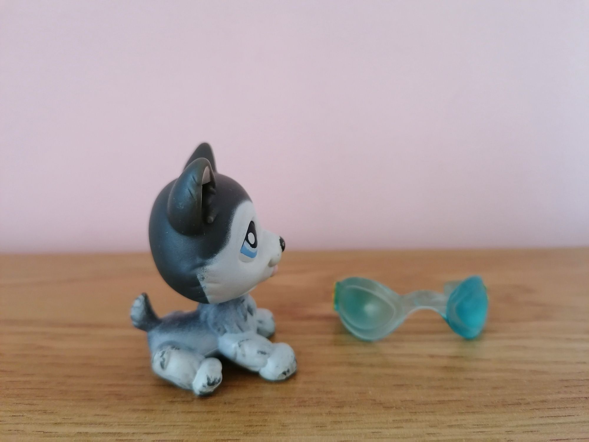 Littlest pet shop lps unikatowy piesek husky