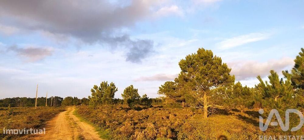 Terreno T1 em Vila do Bispo e Raposeira de 123840,00 m2