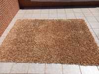 Carpete Sala Gato Preto