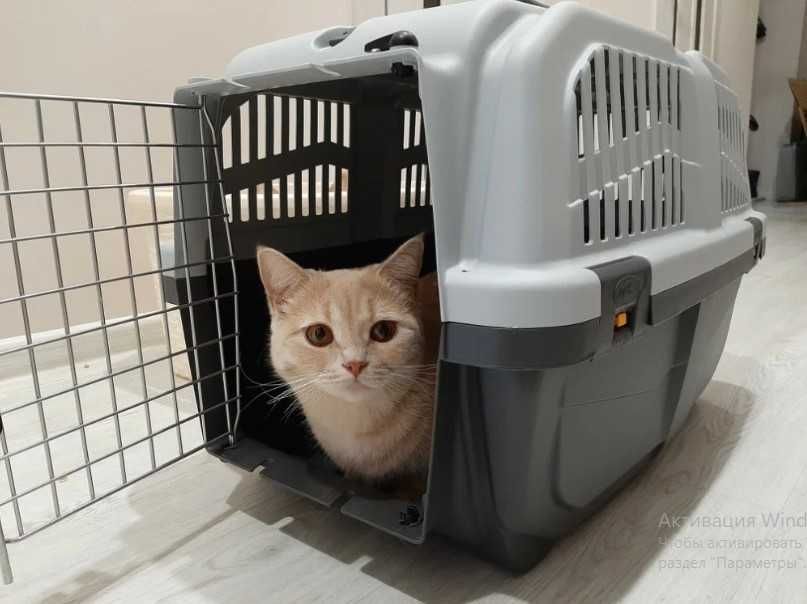 Переноска бокс клетка для собак кошек размеры от №1,2,3,4,5,6,7 АВИА