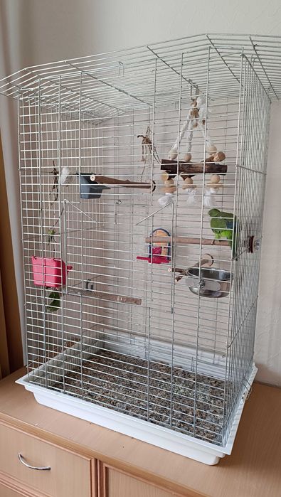 Клітка для попуг велика з усім що на фото, срочно переїзд! Або окремо