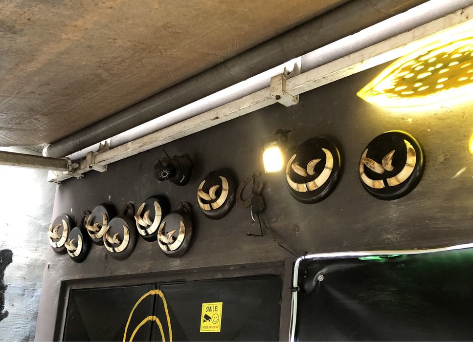 Dentes e cornos de javal