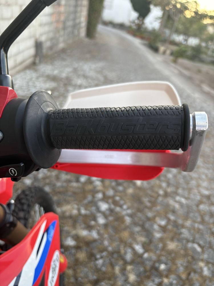 Honda CRF 300L (Arrow, Rally Raid, Barkbusters)