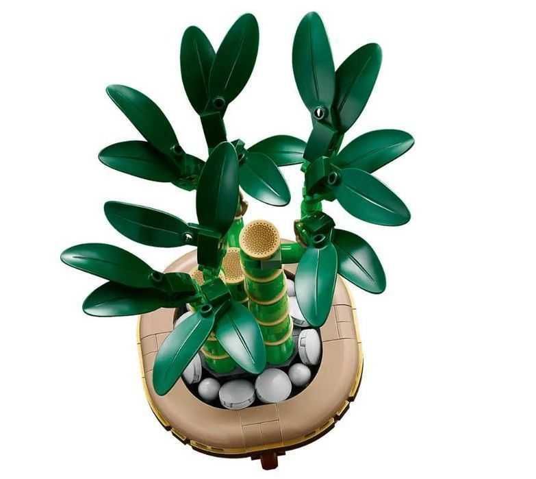 Klocki LEGO Dracena Sandera
The Botanical Collection