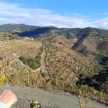Quinta no Douro - Miradouro São Leonardo