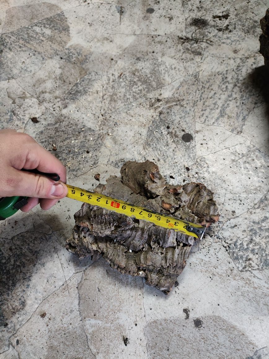 Tuby korkowe do terrarium dla pytona ptasznika gekona aranżacji