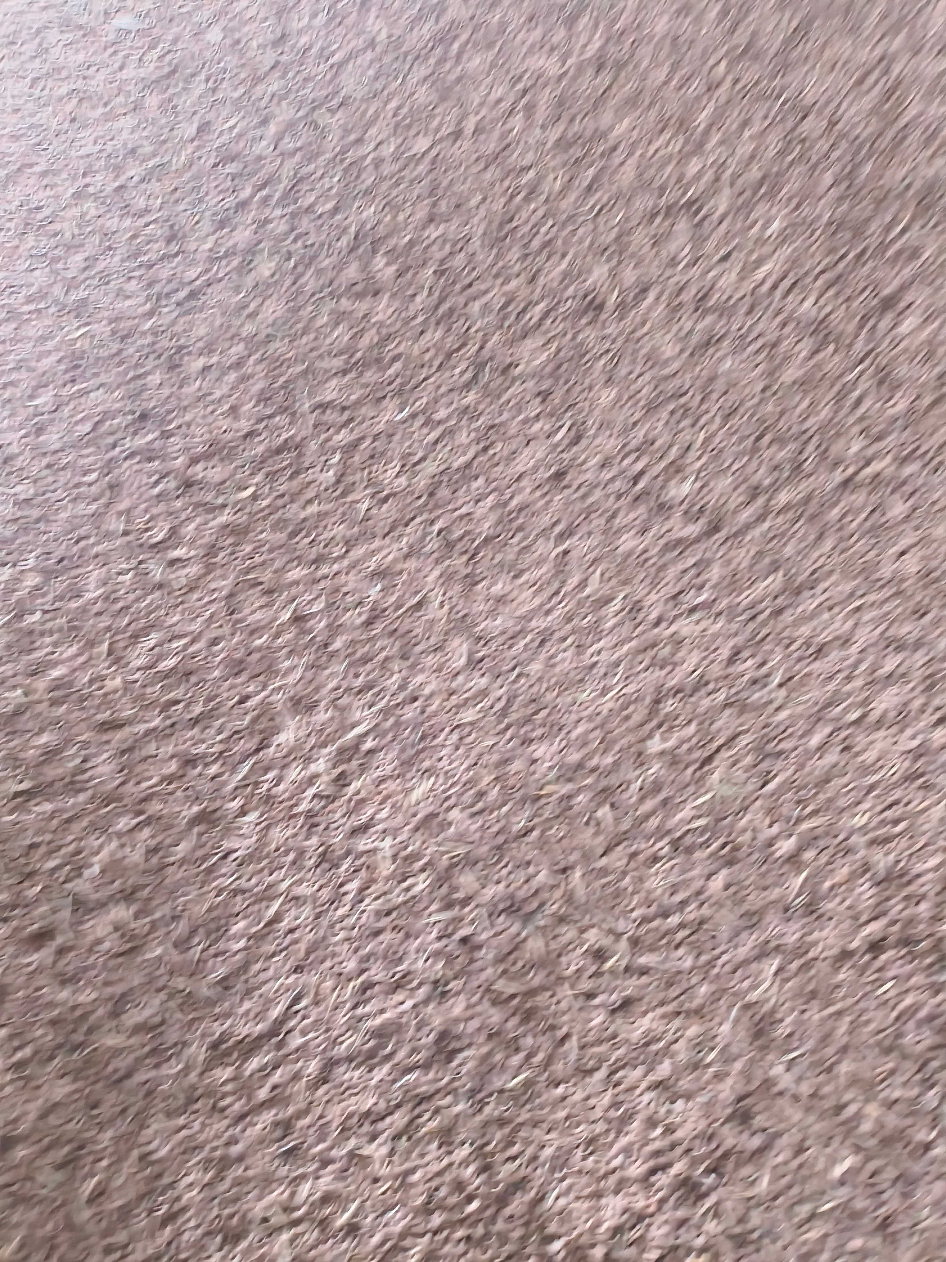 Sprzedam seradele