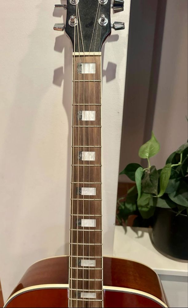 Ibanez SGT 120 E