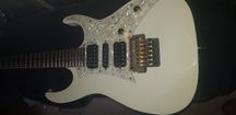 vester ambition super strat gold wysyłka
