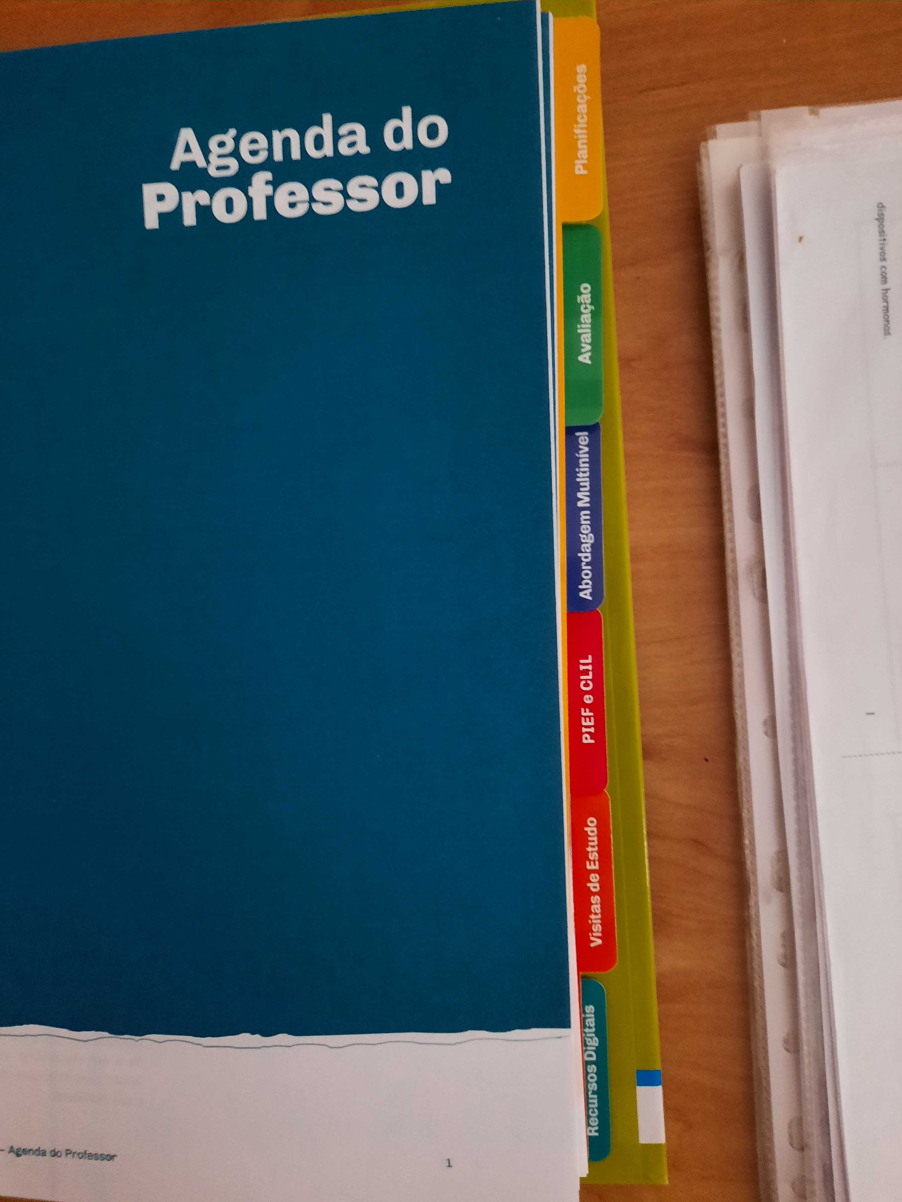 Dossiê do professor História 7°Ano + Manual + Caderno de Ativi. - NOVO