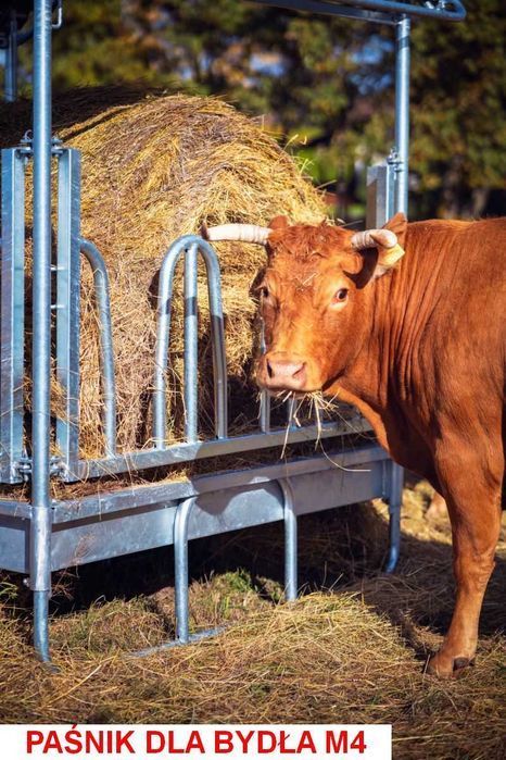 PAŚNIK OCYNKOWANY z daszkiem dla Bydła Koni Krów