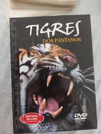 DVD Tigre dos Pântanos