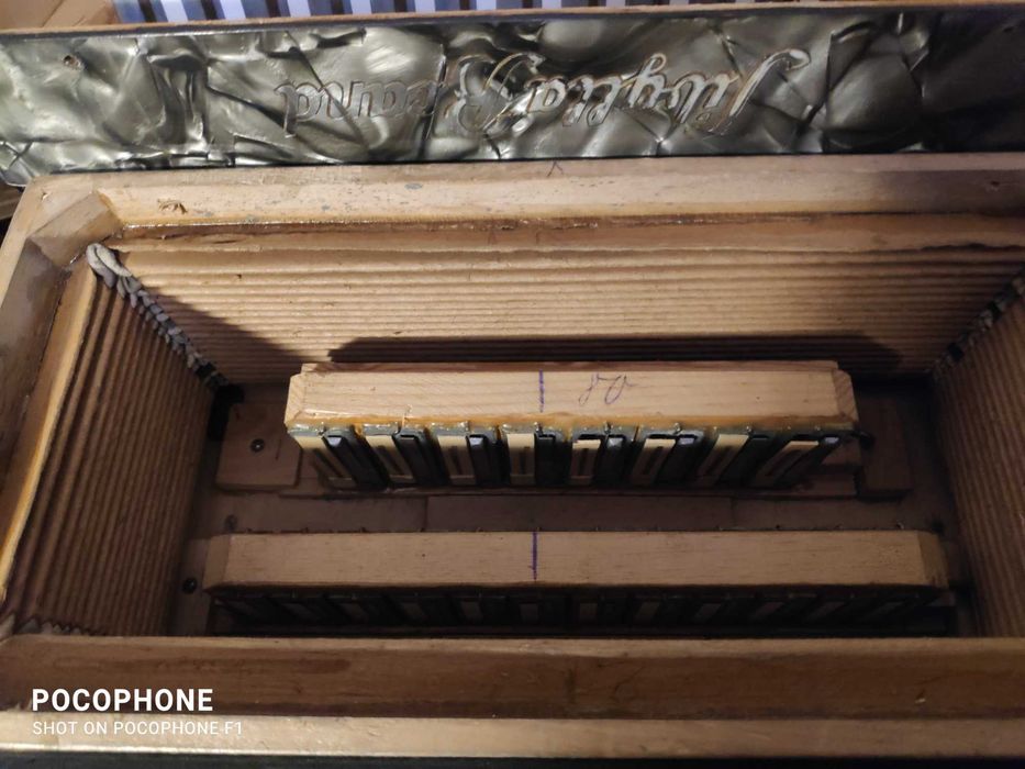 Akordeon Sibylla Brandt