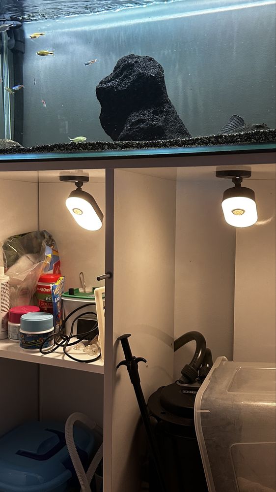 Aquário 140L com Movel, Filtro e acessórios