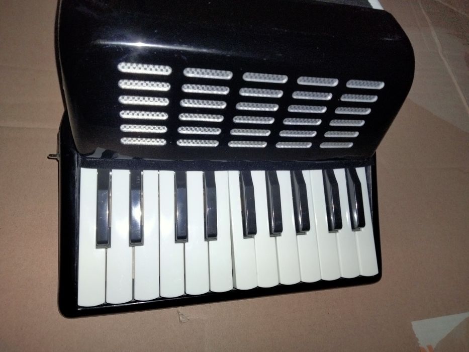 Beginner's Accordion64564183128321121