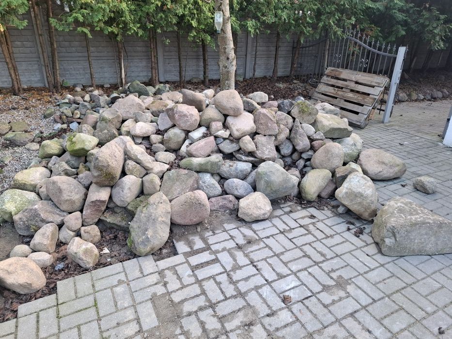 Oddam Kamienie polny