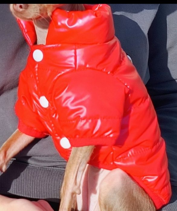 Куртка для  маленької породи собаки або кішки XS