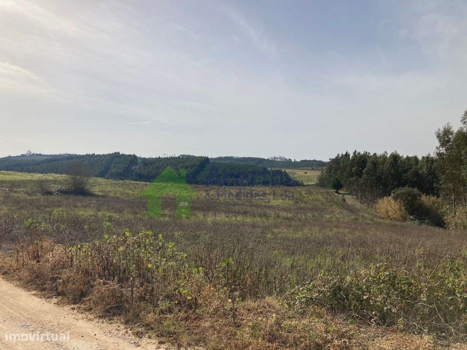 Terreno - Barreira -Bombarral