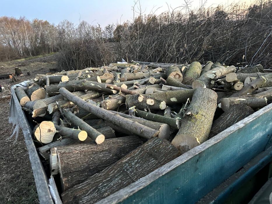 Дрова кругляки / дерево пиляне або рубане . Дрова чурки клен верба