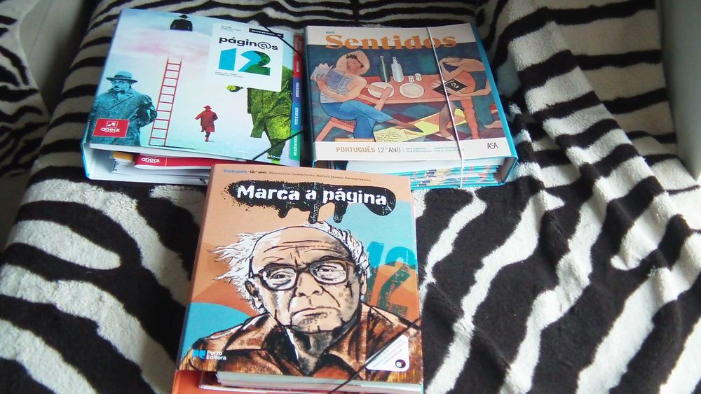 Manuais do professor Português 7,8,9,10.12