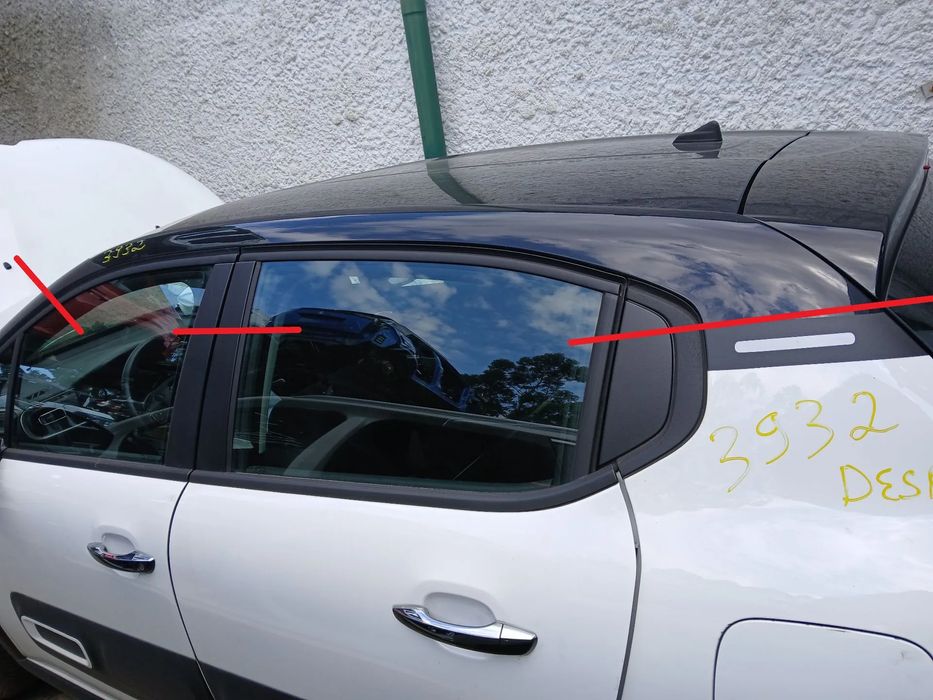 Tejadilho CITROËN C3 III (SX)