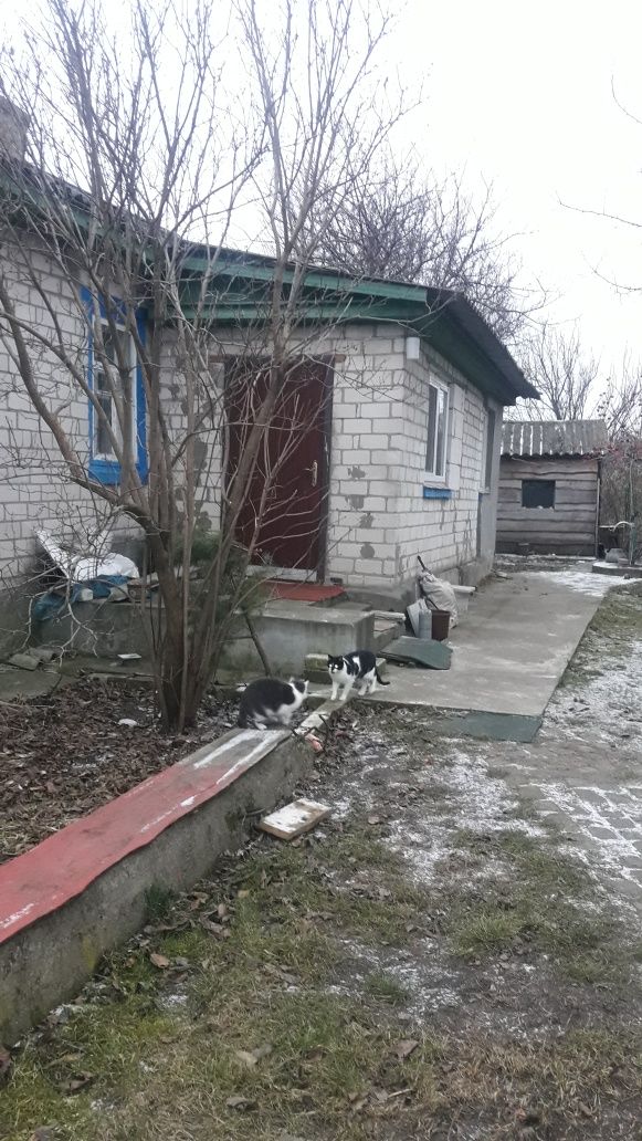 Продаж будинку в с. Слобода, біля р. Дніпро