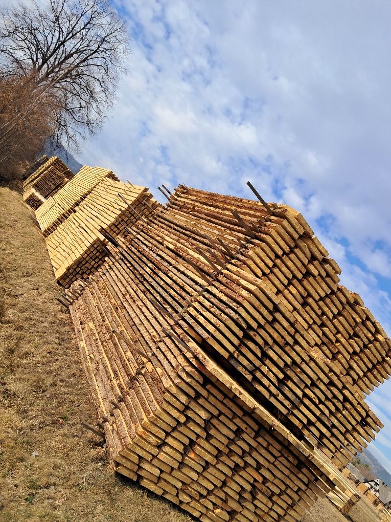Pryzma świerkowa