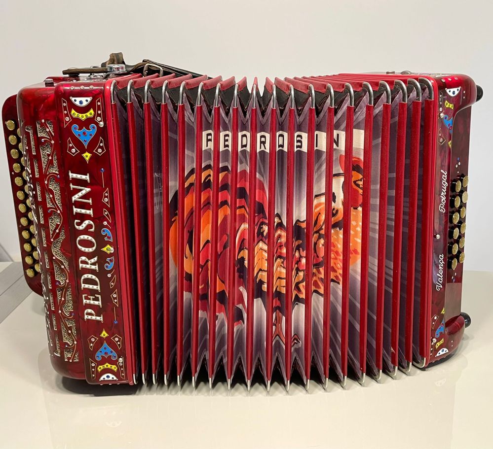 Concertina Pedrosini