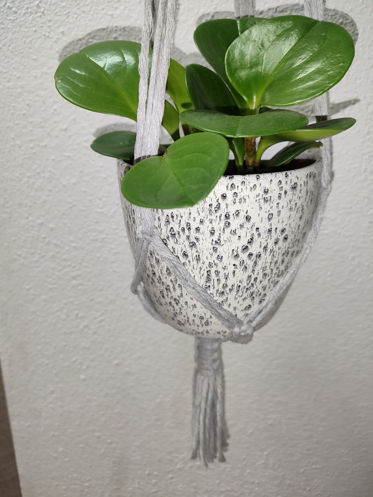 Suporte de plantas macramé