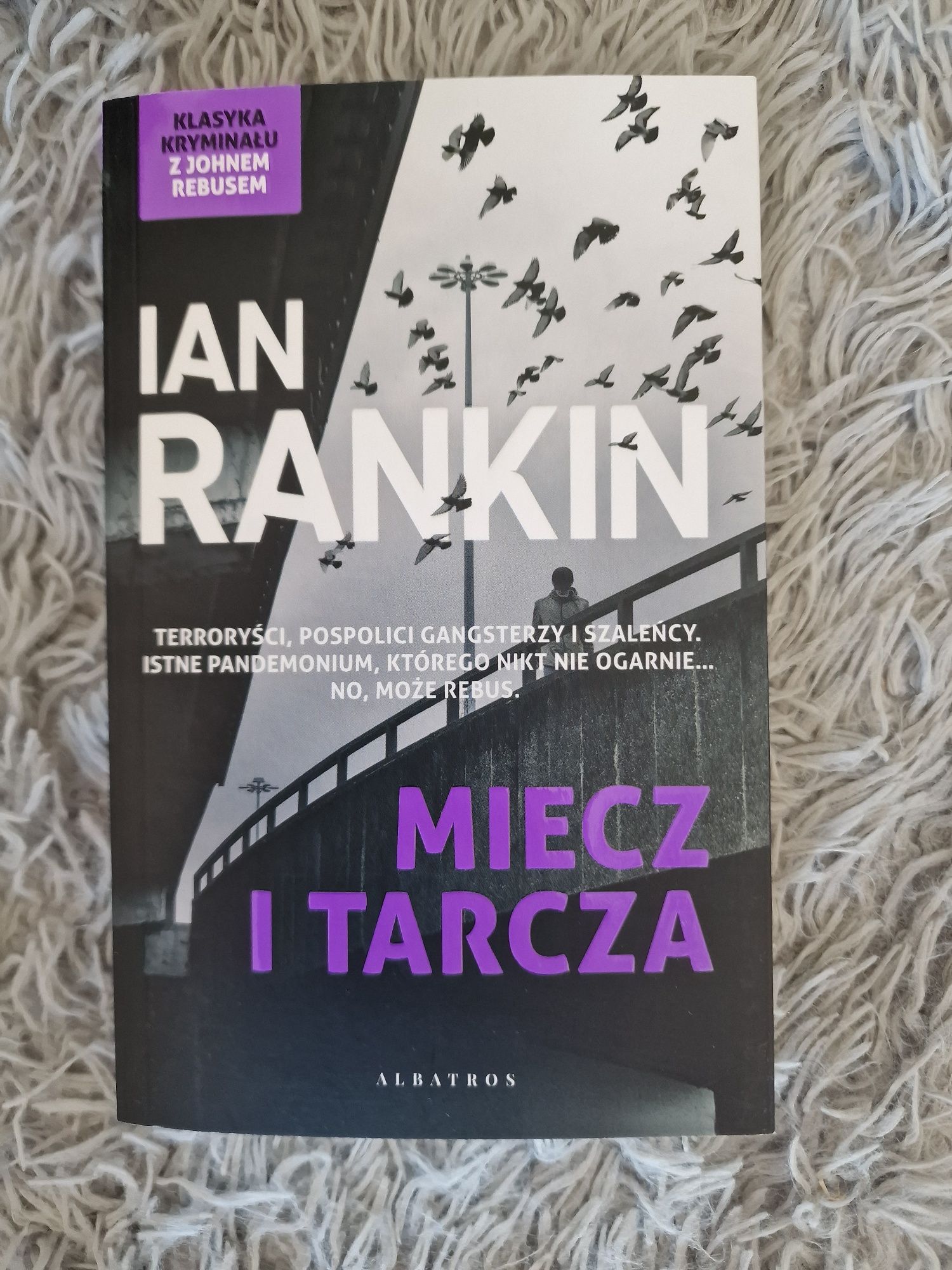 Miecz i tarcza Ian Rankin