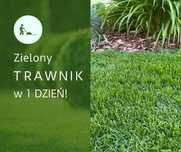 Trawa z rolki od Producenta