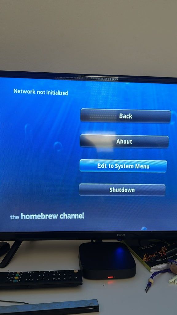 Nintendo Wii desbloqueada C/cabos