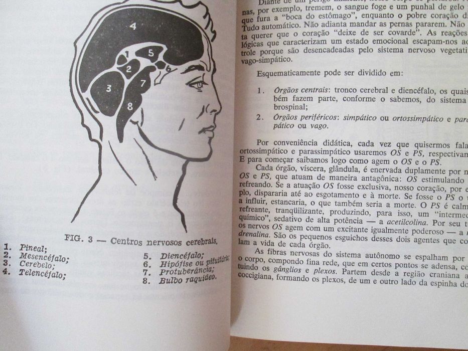 Autoperfeição com Hatha Yoga, de Hermógenes