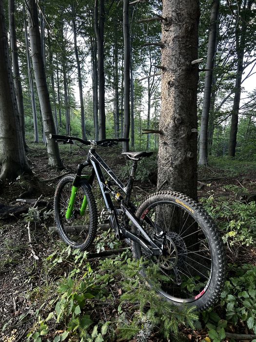 yt capra cor 1 custom