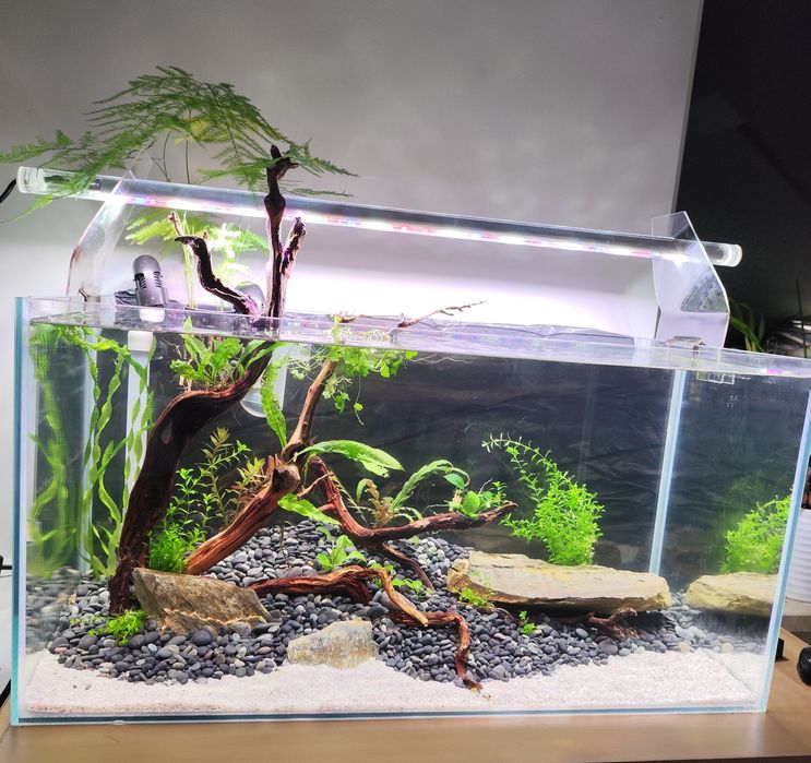 Zestaw akwarium 54L filtr kubełkowy FLUVAL