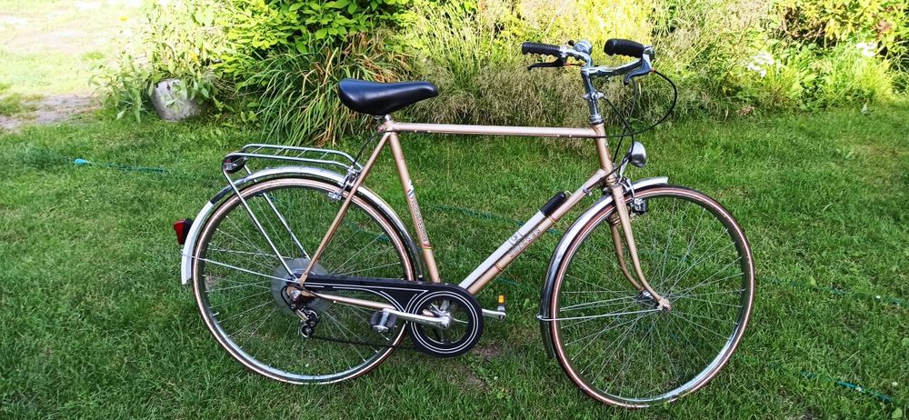 Gazelle Juncker Klasyk