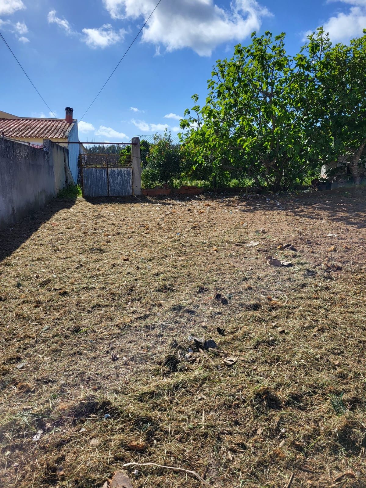 Oportunidade de Investimento