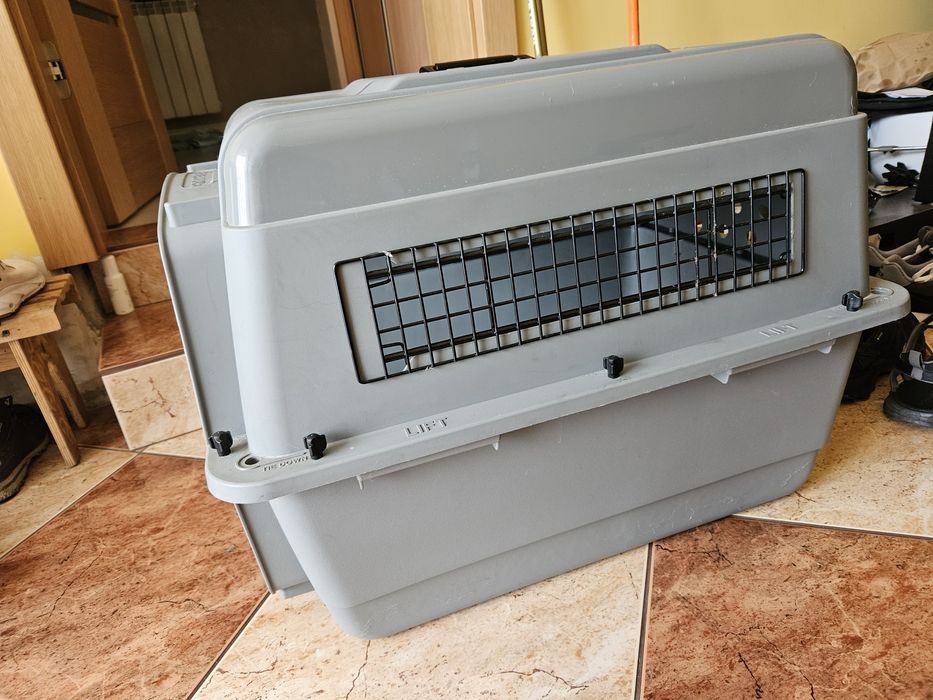 Transporter dla psa