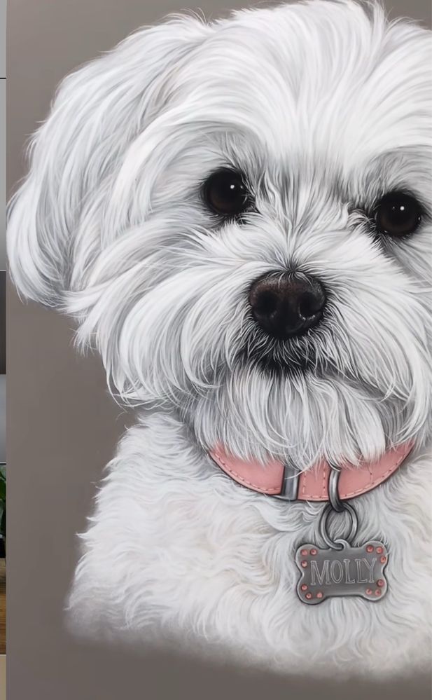 Картина по фото на заказ портрет pet portrait