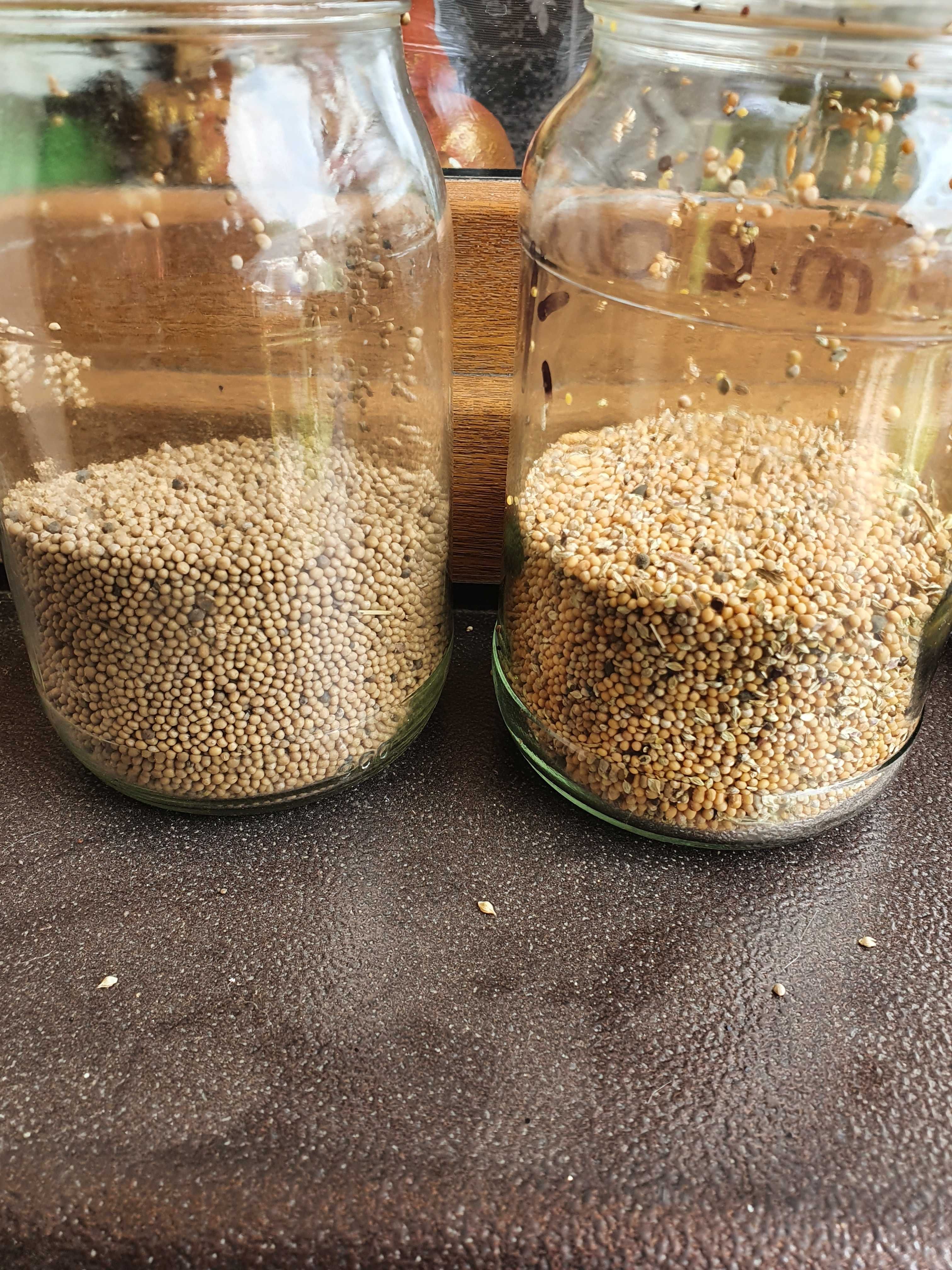 LUCERNA sorgo BÓB bobik łubin peluszka groch koniczyna rzodkiew płużna