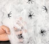 Pajęczyna z pająkami Halloween