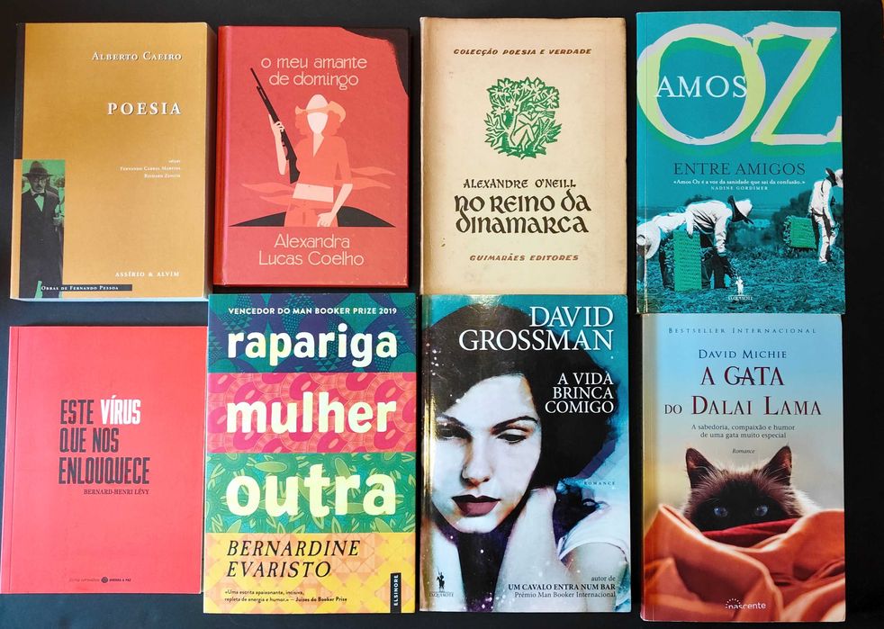 38 livros poesia portuguesa e literatura internacional, Lote 170€