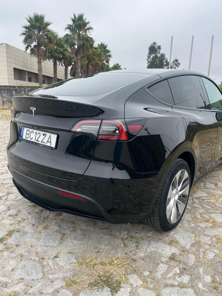 Tesla Model Y RWD