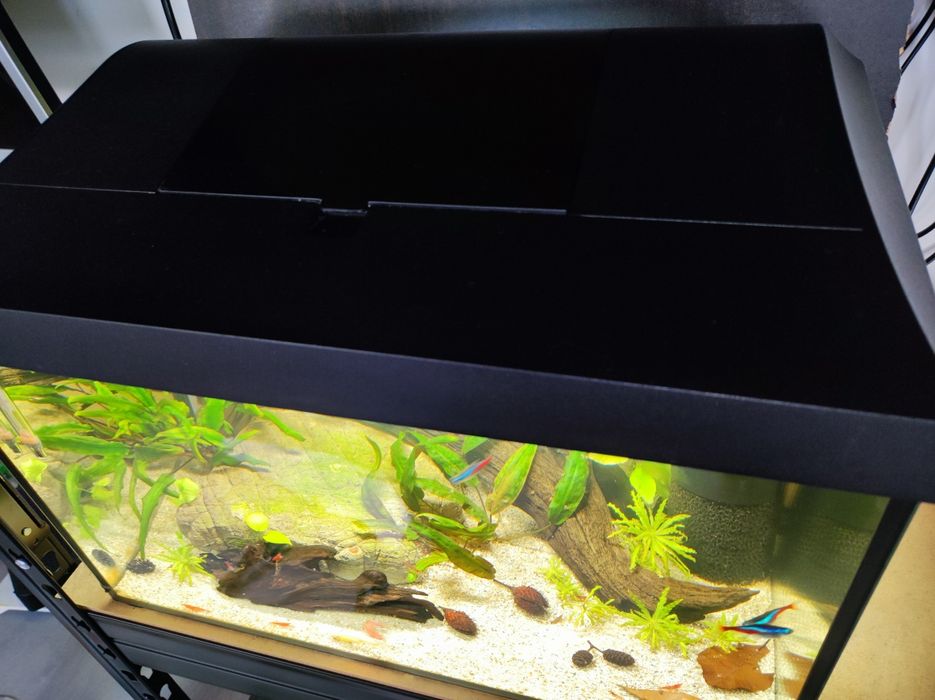 REZERWACJA! Akwarium komplet Aquael 25l energooszczędny zestaw z życie