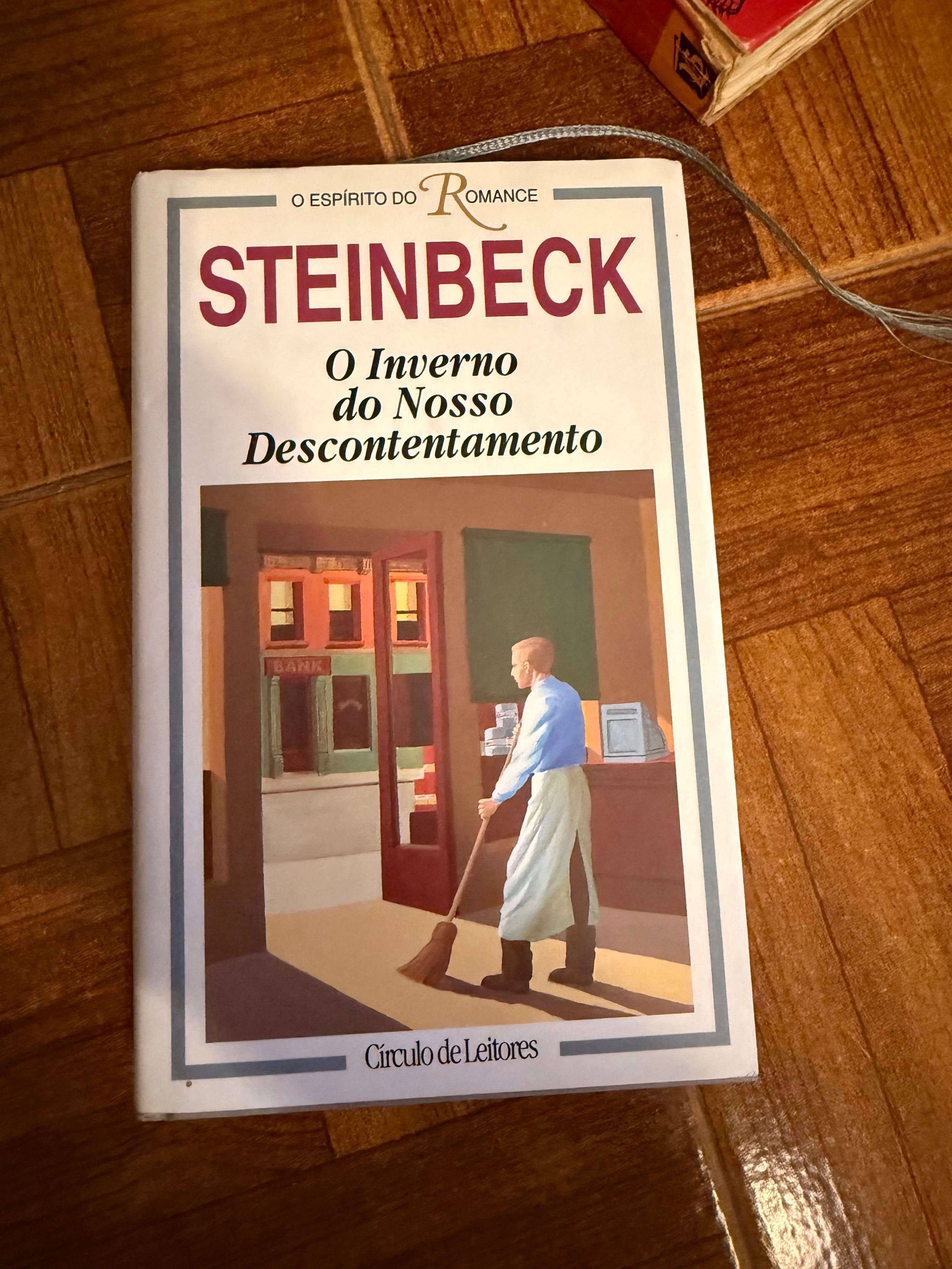 Livro O inverno do nosso descontentamento