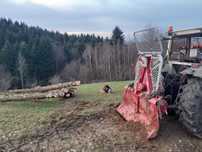 Uslugi leśne zrywka,wycinka drzew, skup drzewa na pniu