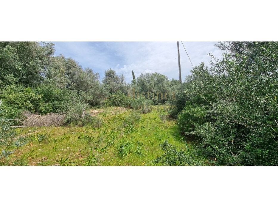 Terreno Rústico com 1.000 m² em Vale da Vila - Silves