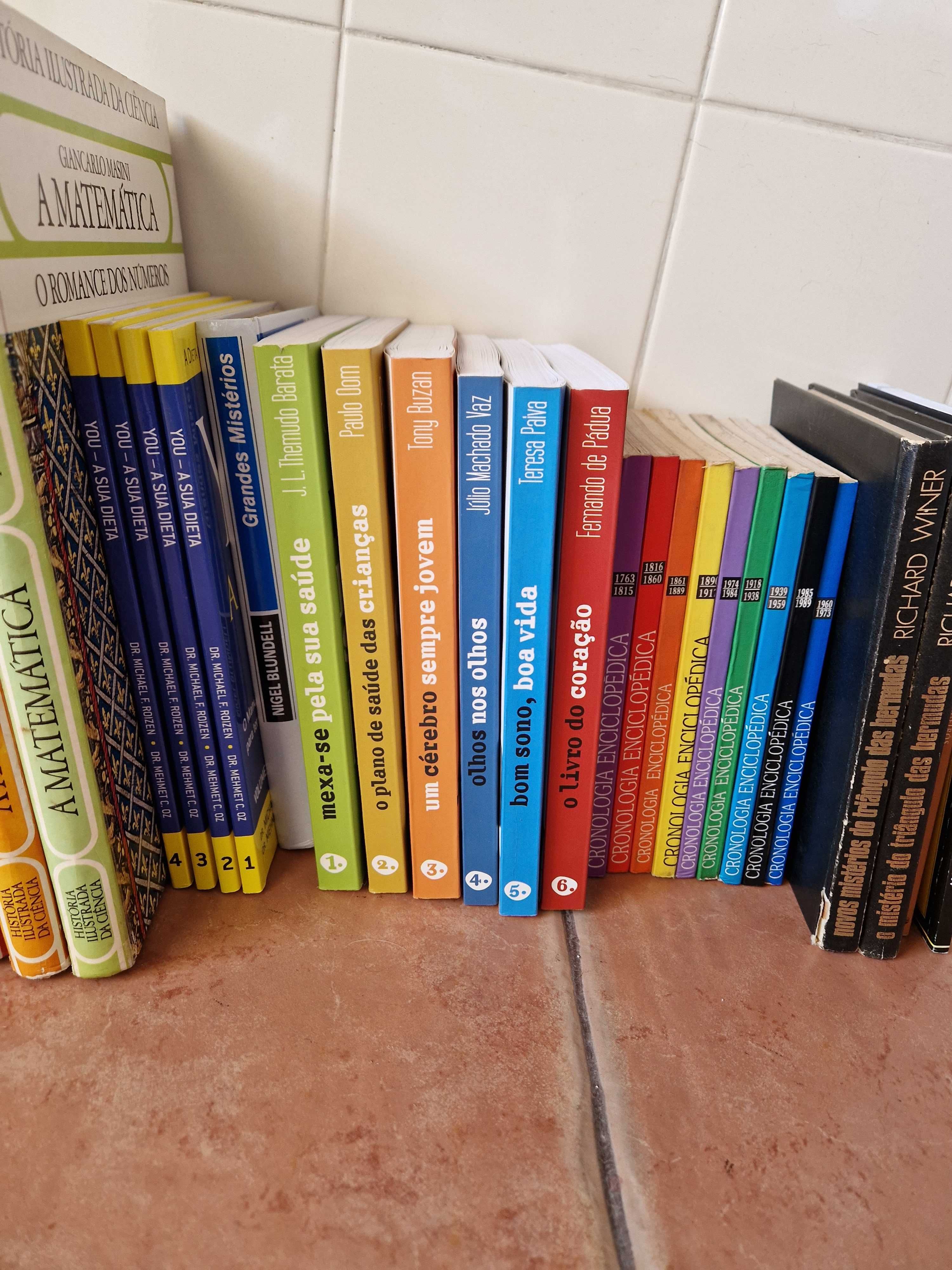 Conjunto de enciclopédias e livros vários